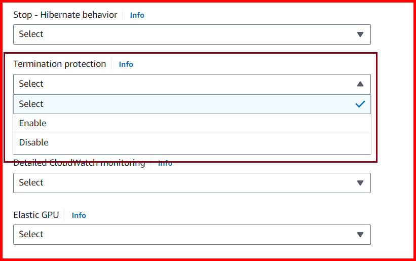 Picture showing enabling the termination protection while launching an ec2 instance